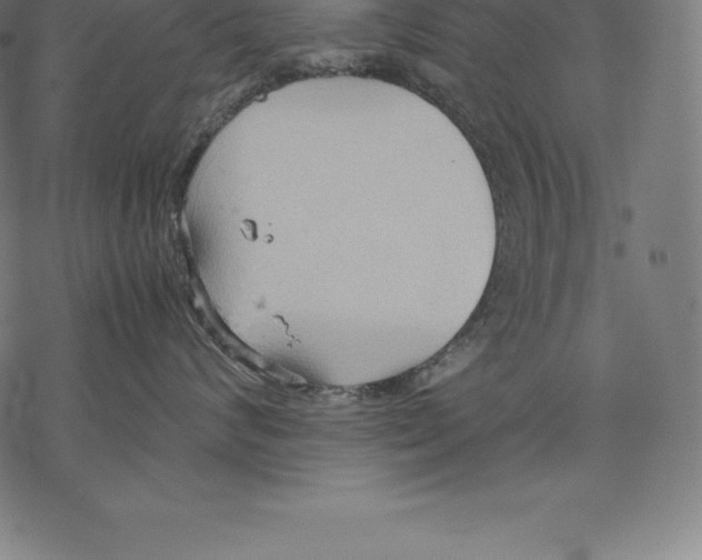 X0000067830624200605111618