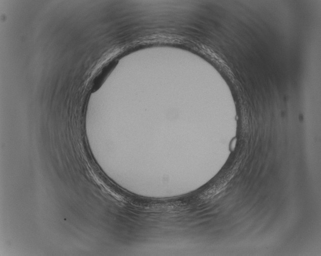 X0000067830625200605111618