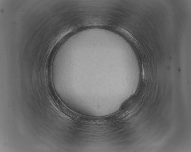 X0000067830627200605111618