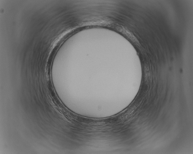 X0000067830628200605111618