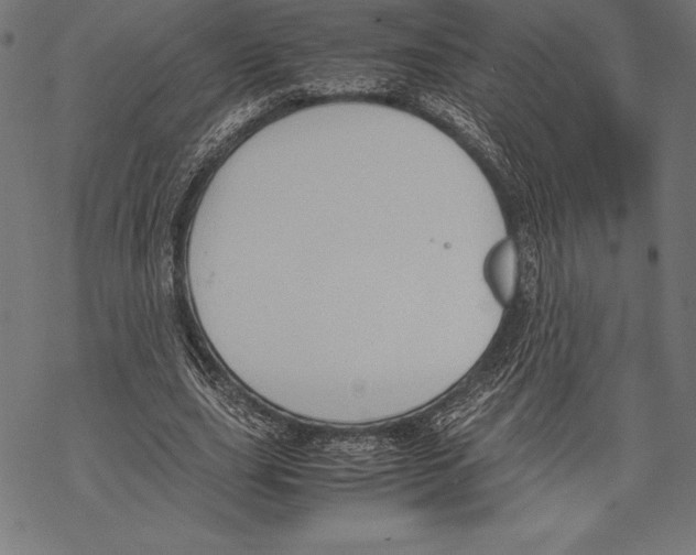 X0000067830631200605111618