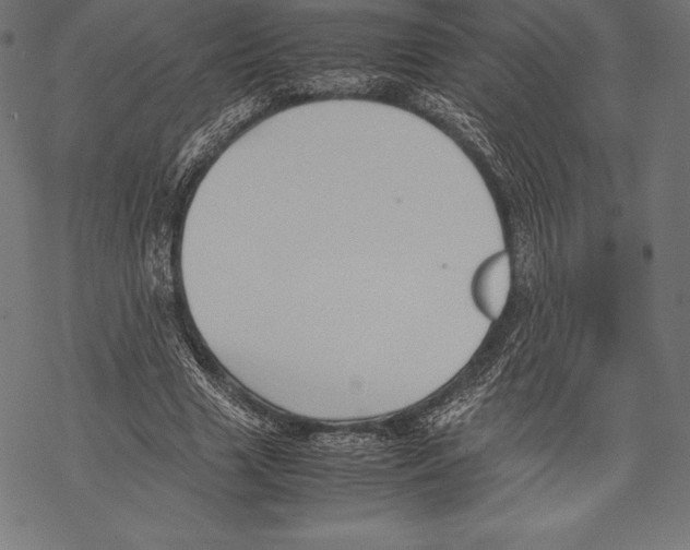 X0000067830633200605111618