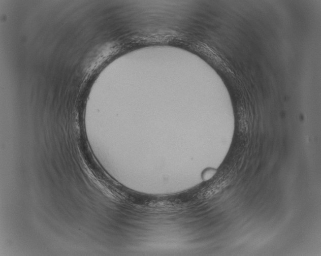 X0000067830634200605111618