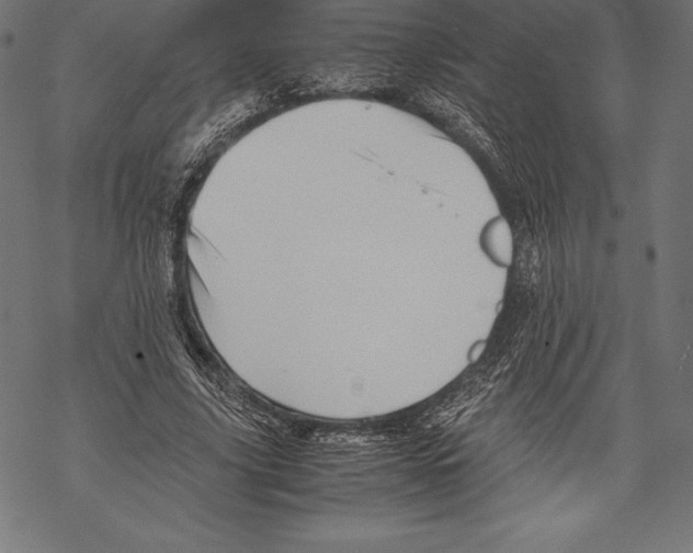 X0000067830635200605111618