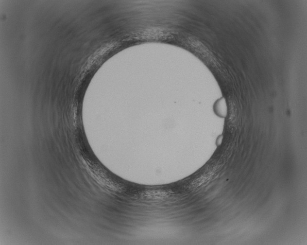 X0000067830636200605111618