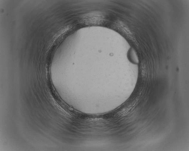 X0000067830637200605111618