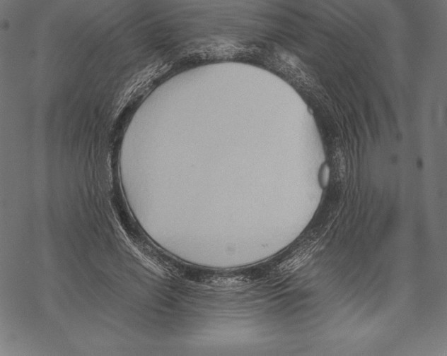 X0000067830638200605111618