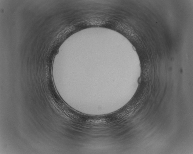 X0000067830639200605111618