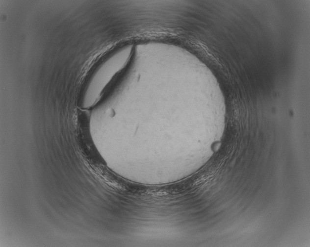 X0000067830640200605111618