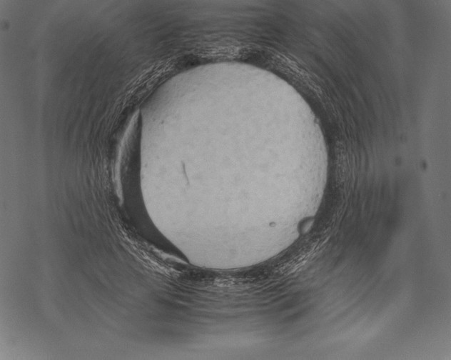 X0000067830641200605111618