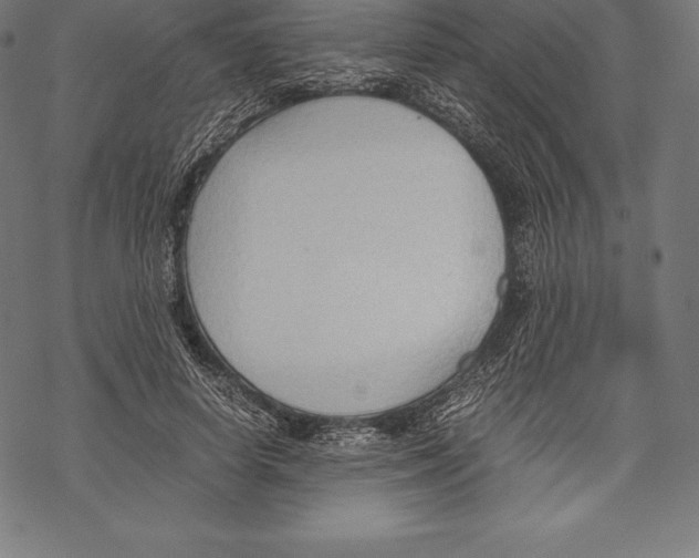 X0000067830642200605111618