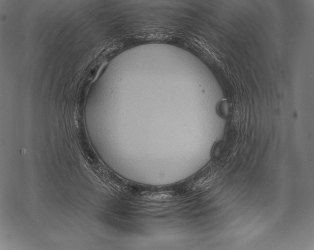 X0000067830643200605111618