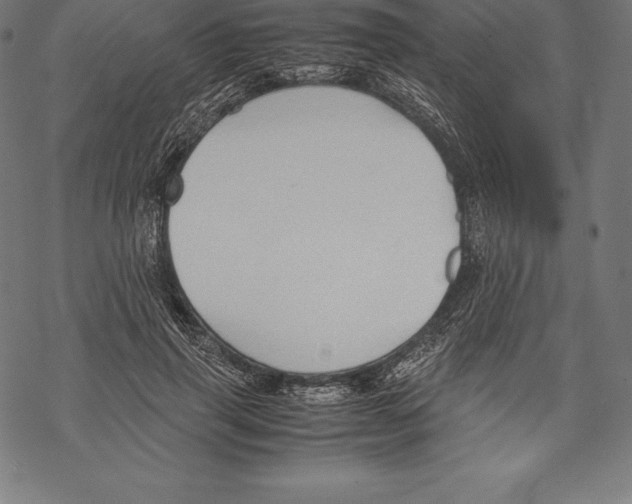 X0000067830645200605111618