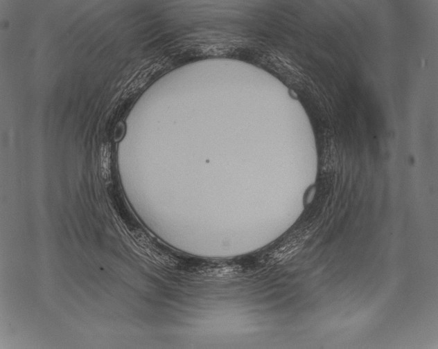 X0000067830646200605111618