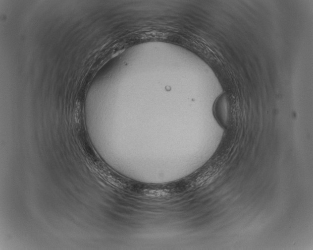 X0000067830649200605111618