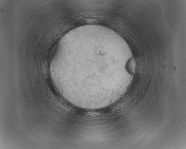 X0000067830650200605111618