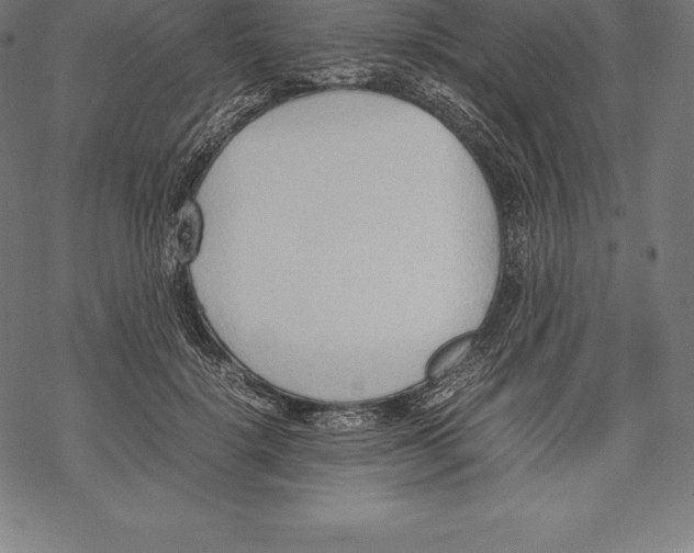 X0000067830652200605111618