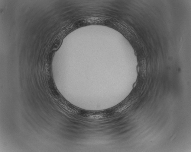 X0000067830653200605111618