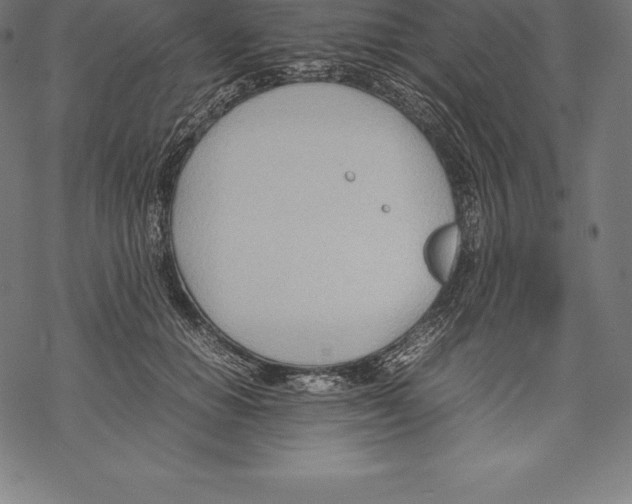 X0000067830654200605111618