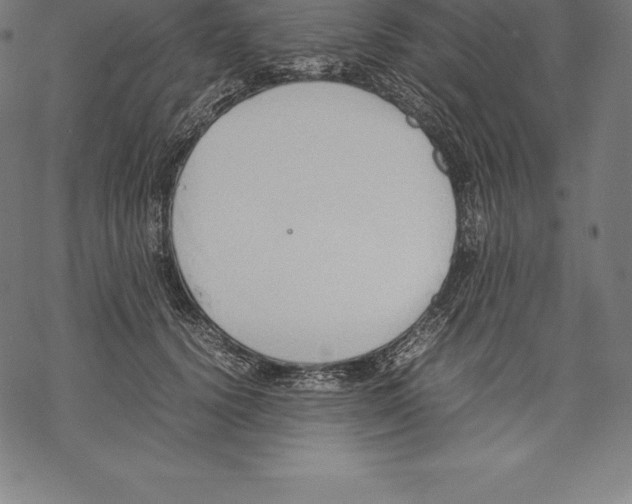 X0000067830656200605111618