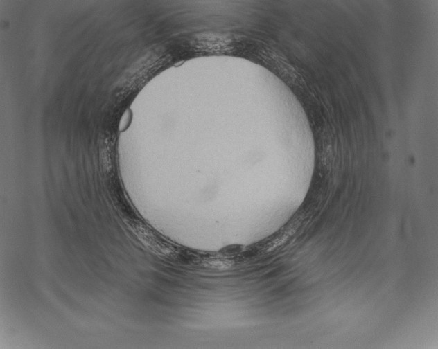 X0000067830658200605111618