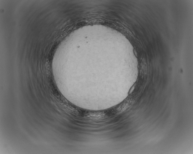 X0000067830659200605111618