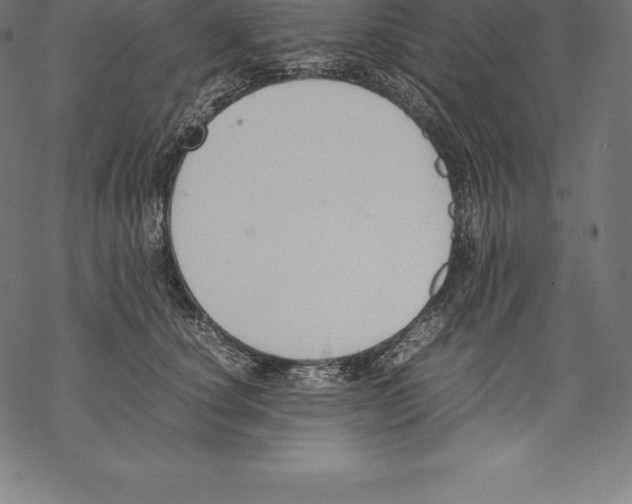 X0000067830660200605111618