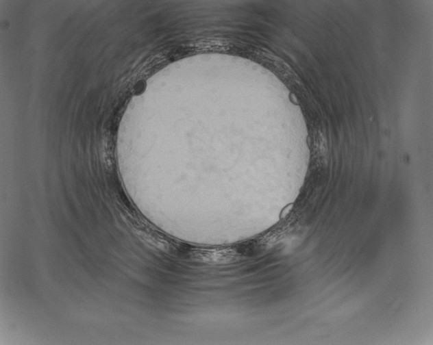 X0000067830663200605111618