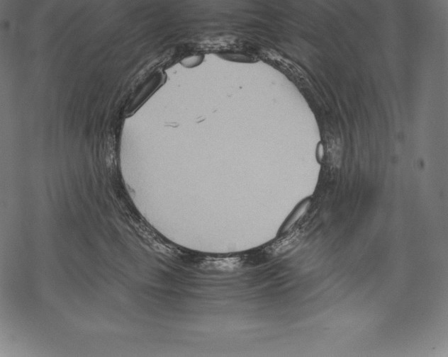 X0000067830665200605111618