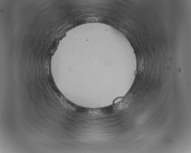 X0000067830666200605111618