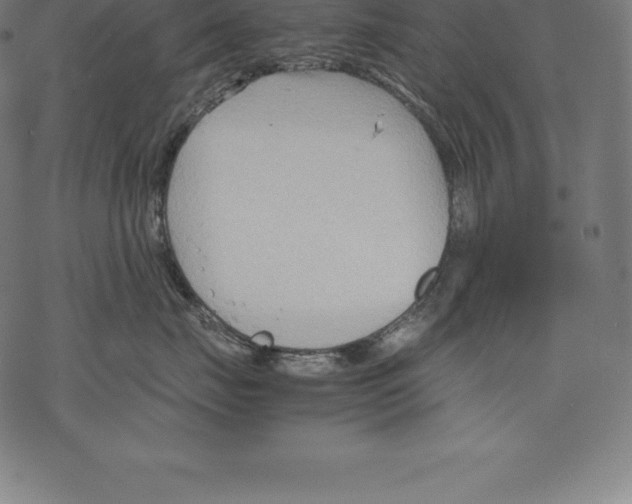 X0000067830671200605111618