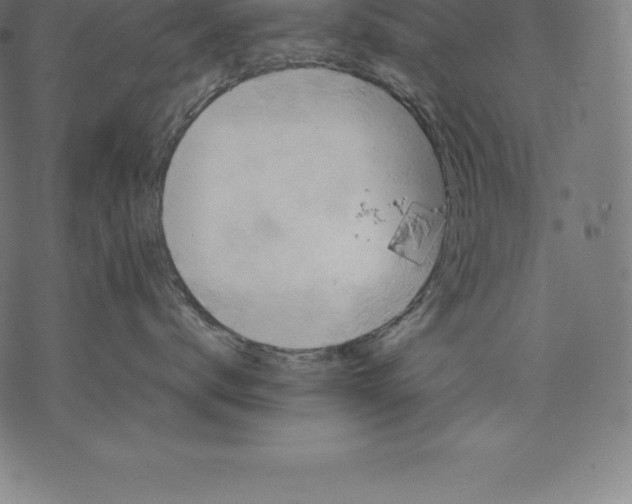 X0000067830672200605111618