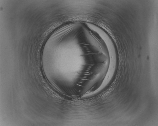 X0000067830673200605111618