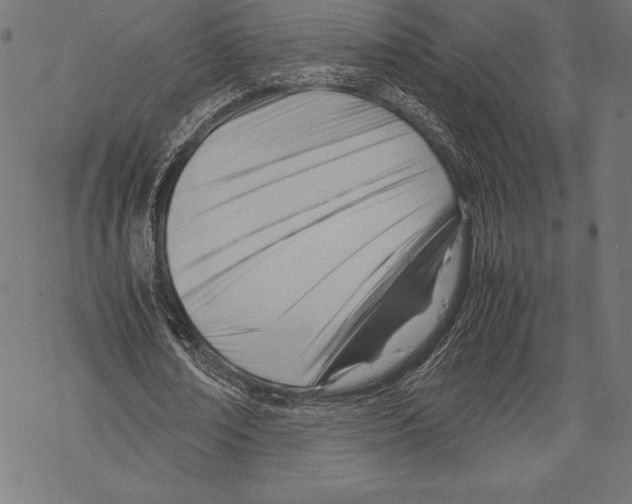 X0000067830674200605111617