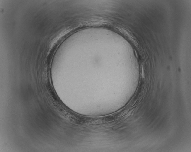 X0000067830675200605111617