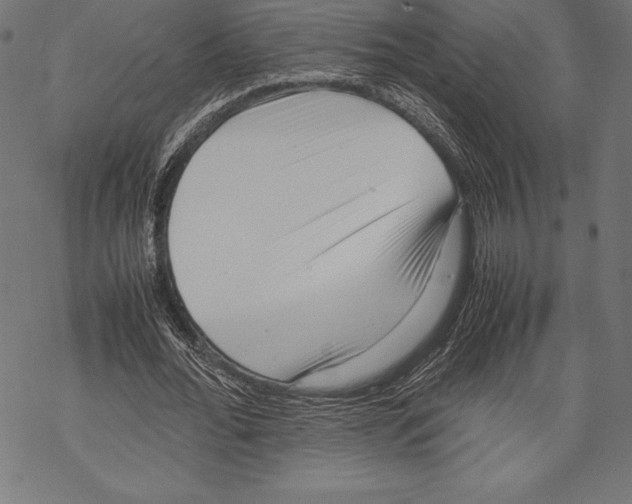 X0000067830676200605111617