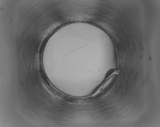 X0000067830678200605111617