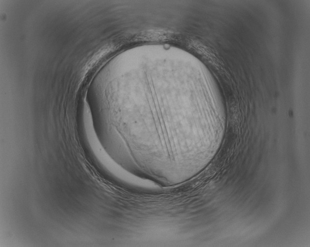 X0000067830679200605111617