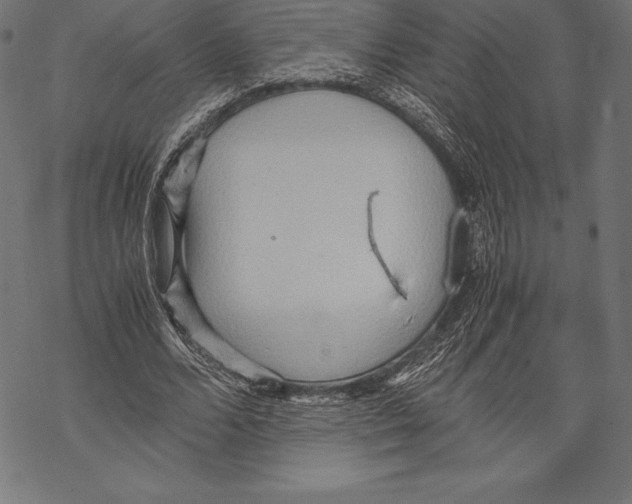 X0000067830680200605111617