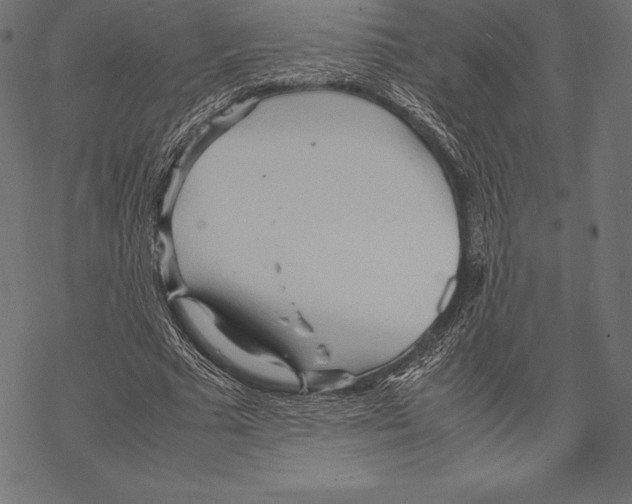 X0000067830681200605111617