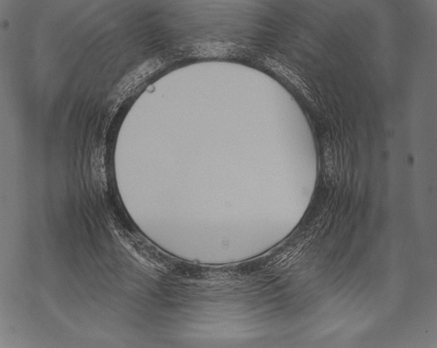 X0000067830682200605111617