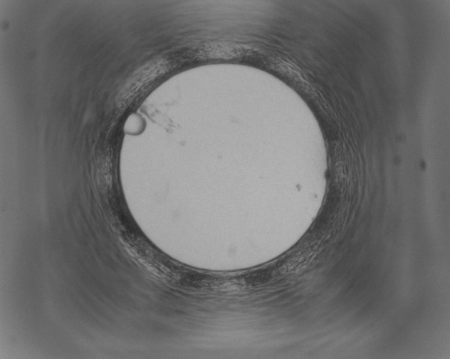 X0000067830683200605111617