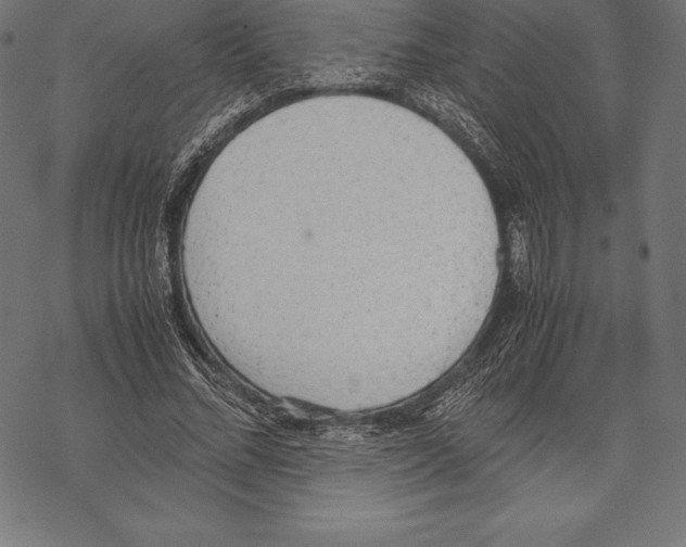 X0000067830684200605111617