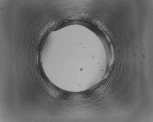 X0000067830685200605111617