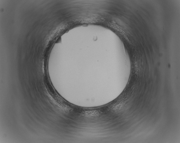 X0000067830686200605111617