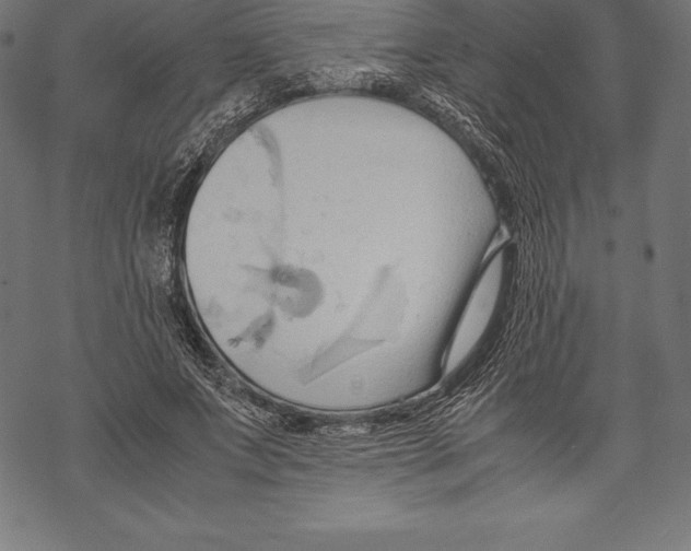 X0000067830687200605111617