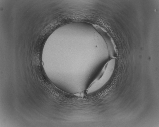 X0000067830689200605111617