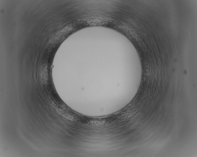 X0000067830690200605111617