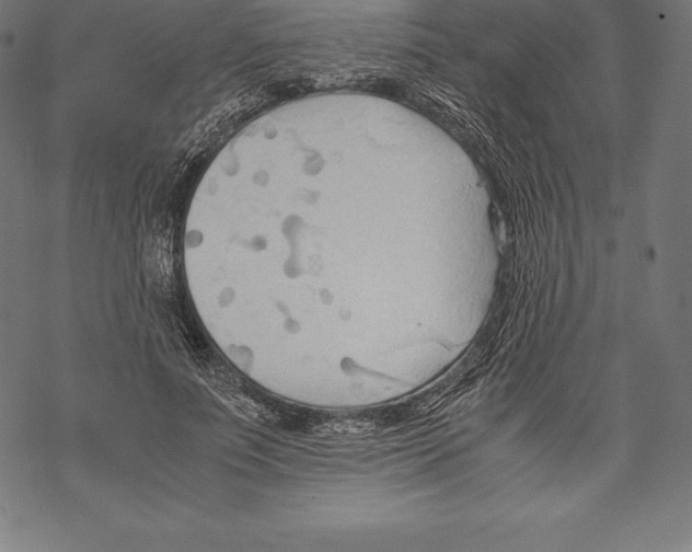 X0000067830691200605111617