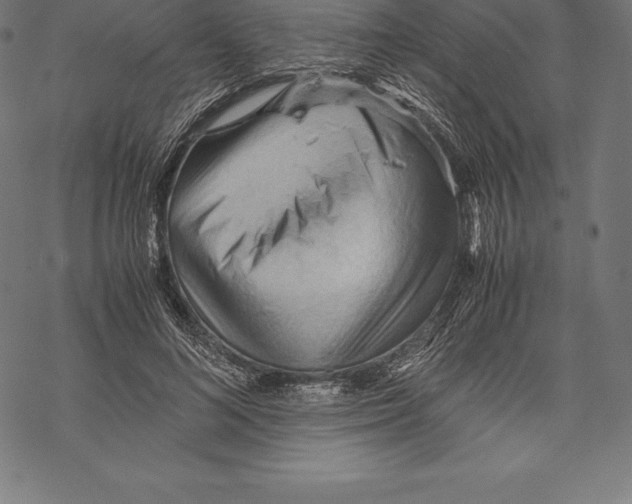 X0000067830692200605111617